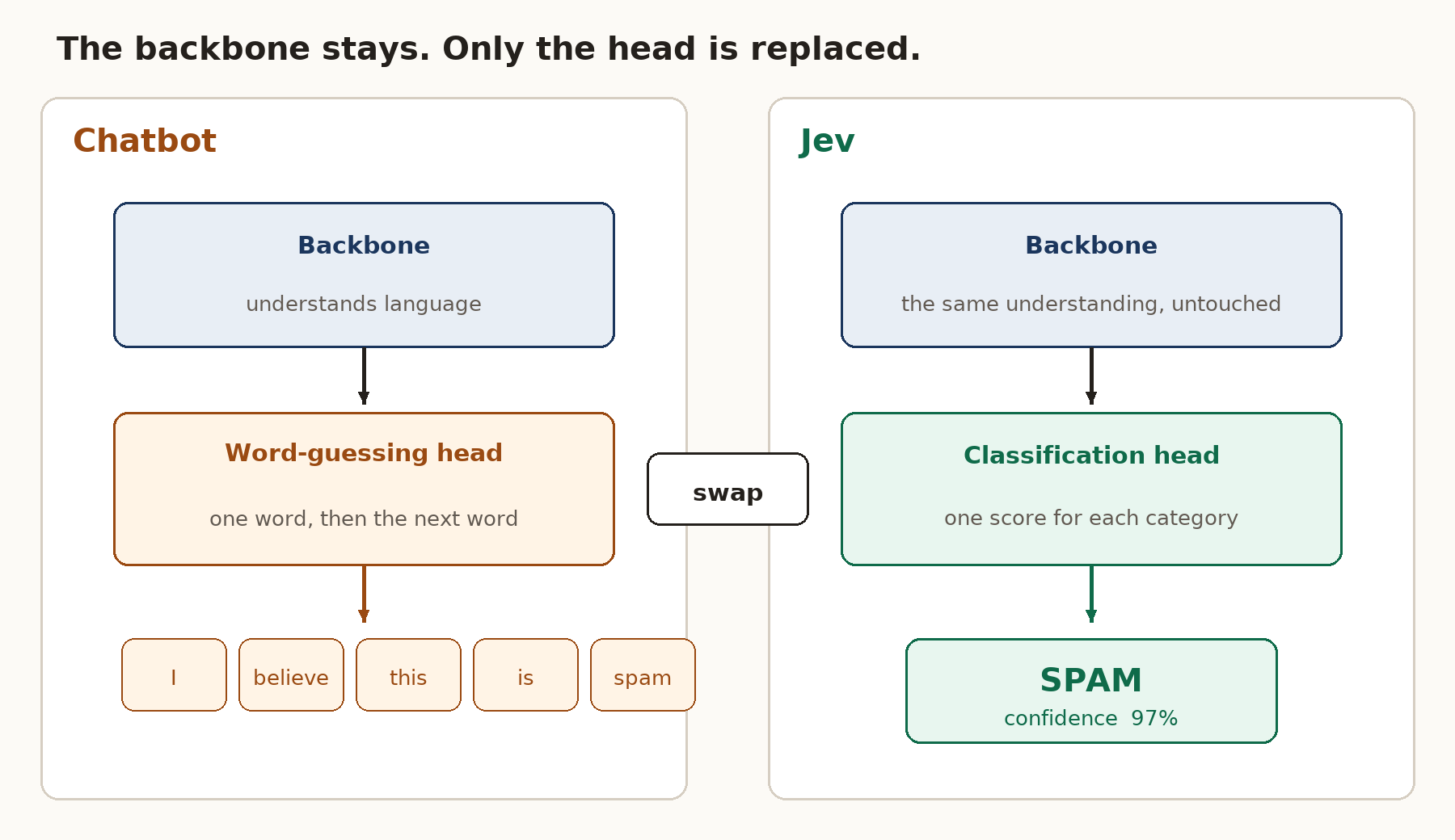 Two columns under the sentence “The backbone stays. Only the head is replaced.” Both columns share a backbone. The chatbot column has a word-guessing head and the words I, believe, this, is, spam. The Jev column has a classification head and a result of SPAM with confidence 97%. A badge between them says swap.