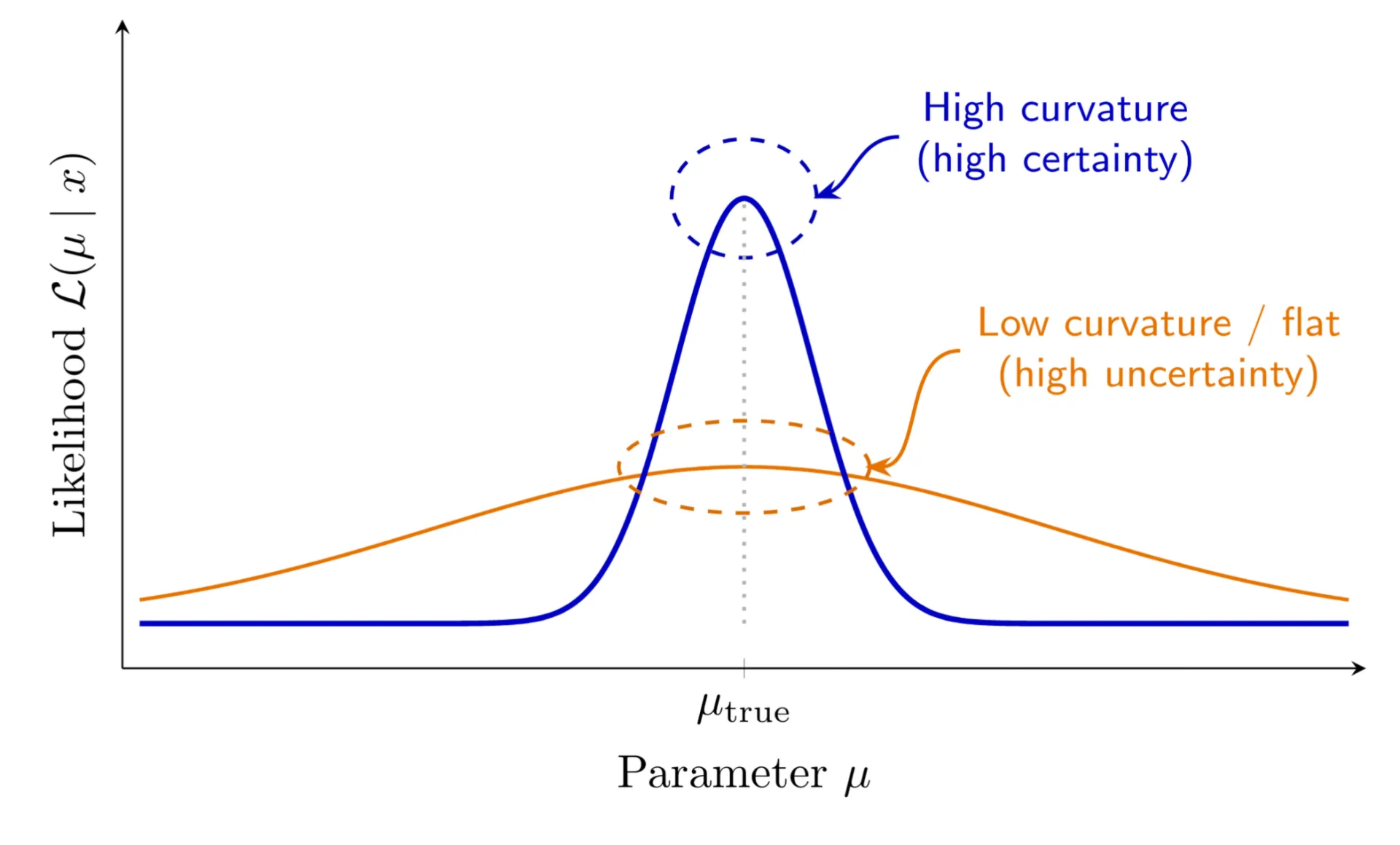 A sharply curved likelihood indicates that the observation strongly constrains the parameter. A flatter curve indicates weaker local information Image shows how the level of curviness of a likelihood indicates how strongly observation constrains the parameter.
