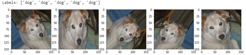 Image Augmentation on a Dog Image