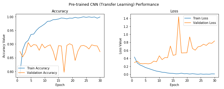 Pre-trained CNN (feature extractor) Performance