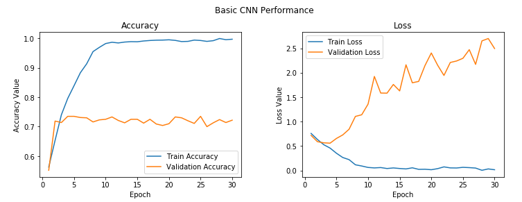 Vanilla CNN Model Performance