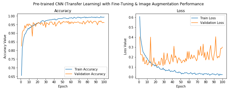 Pre-trained CNN (fine-tuning) with Image Augmentation Performance