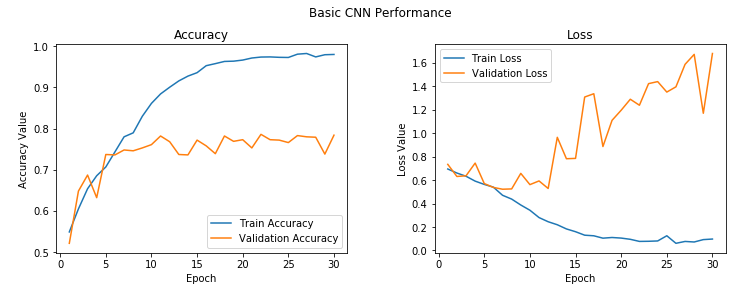 Vanilla CNN Model with Regularization Performance