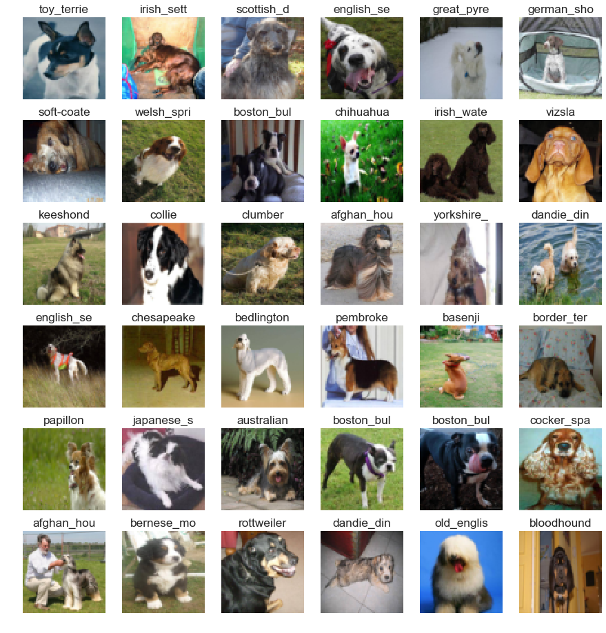 Sample dog breed images and labels
