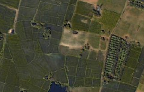 Satellite Images (Image by Author)