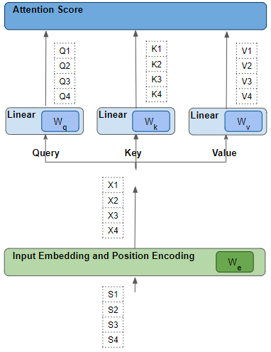 Linear and Embedding weights are learned (Image by Author)
