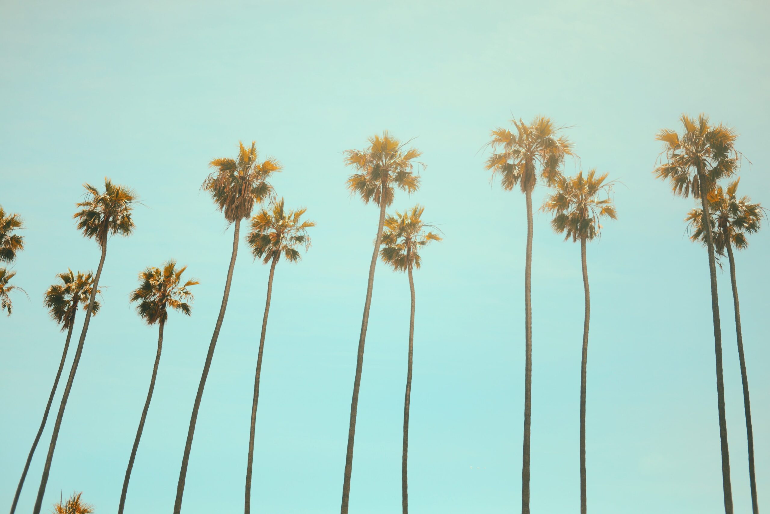 Photo by Julian Myles on Unsplash