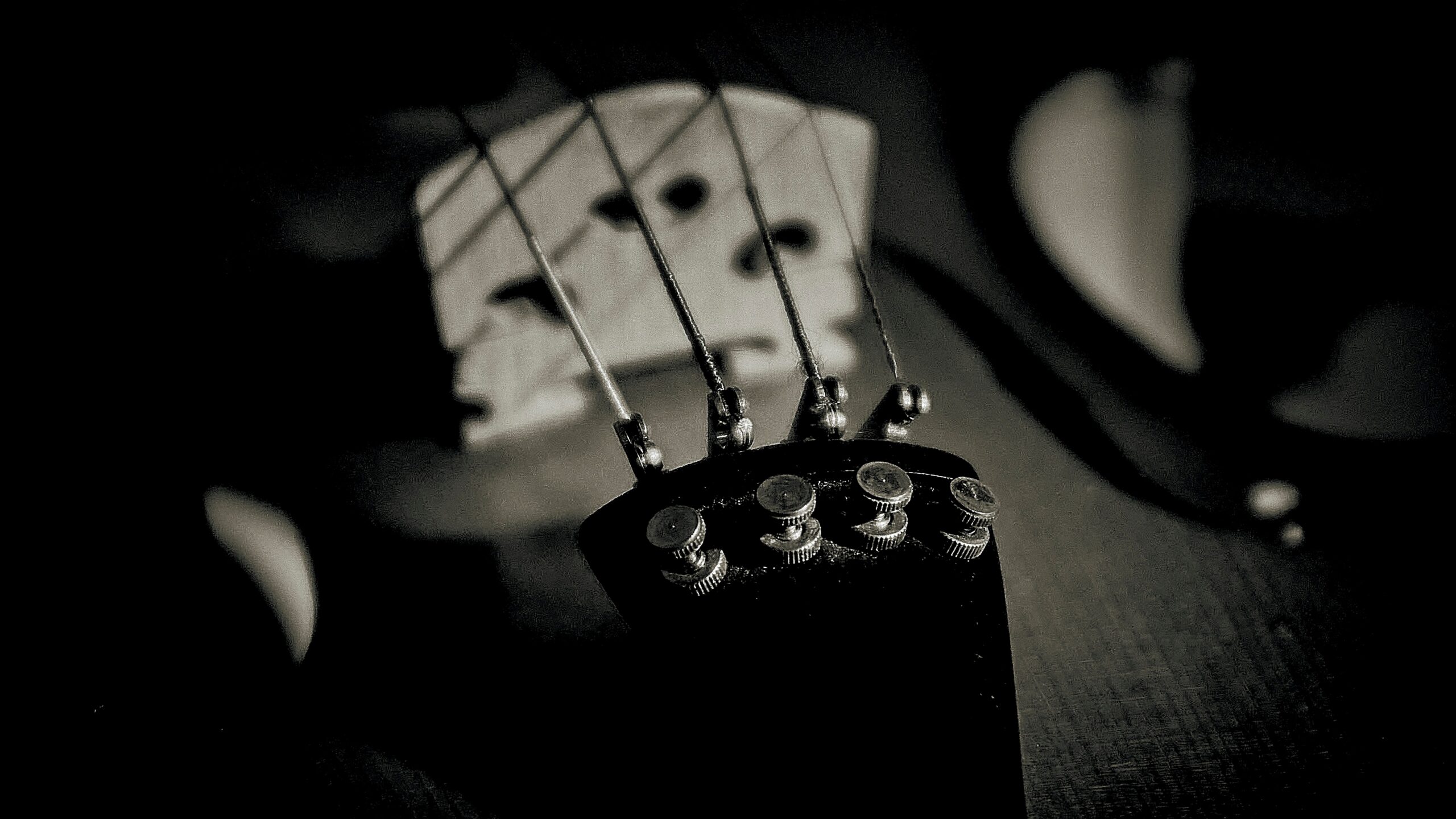 Those knobs are used to finetune a string instrument. Photo by Tony Woodhead on Unsplash