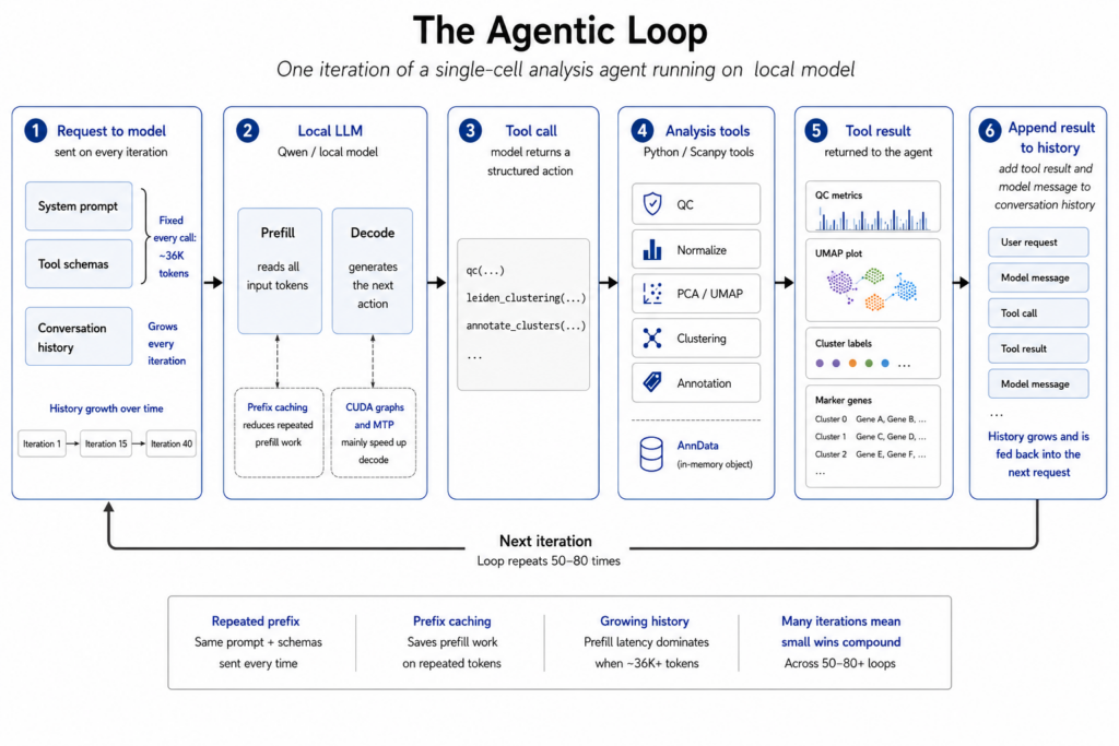 Diagram showing a local LLM agent loop with repeated model calls, tool execution, and state updates across an analysis workflow.